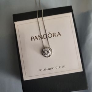 Pandora necklace